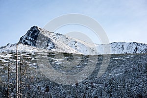 Carpathian mountains in winter snow