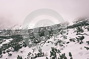 Carpathian mountains in winter snow - vintage film effect