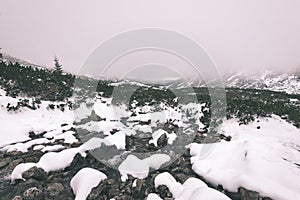 Karpaty v zimě sníh - vintage filmový efekt