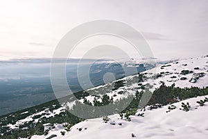 Carpathian mountains in winter snow - vintage film effect