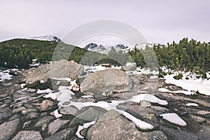 Carpathian mountains in winter snow - vintage film effect