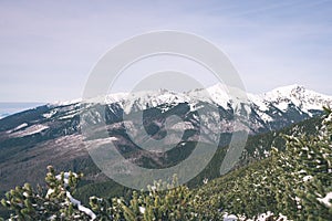 Carpathian mountains in winter snow - vintage film effect