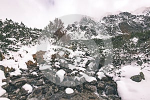 Carpathian mountains in winter snow - vintage film effect