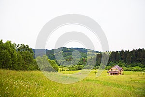 Carpathian nature in summer