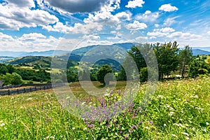 Carpathian rural landscape at high noon in summer