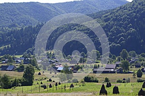 Carpathian village: country houses, gardens, forest and mountains