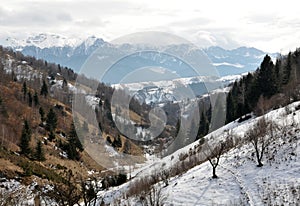 Carpathians photo