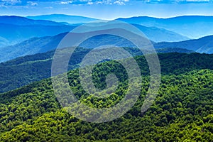 Carpathians forest. Mountains panorama background. photo