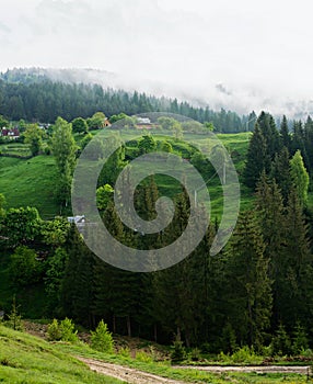 Carpathians landscape