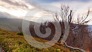 Carpathians, Pylypets, Ukraine. Mountain cloud top view landscape. Timelapse of the Magura-Dzhide mountain range in the