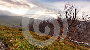 Carpathians, Pylypets, Ukraine. Mountain cloud top view landscape. Timelapse of the Magura-Dzhide mountain range in the