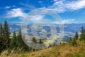 Carpathians. Ukraine. Colorful autumn in the Carpathian mountains. Top view