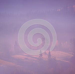 Carpatian mountains at the fog