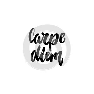 Carpe Diem - hand drawn lettering latin phrase Seize the day isolated on the white background. Fun brush ink inscription