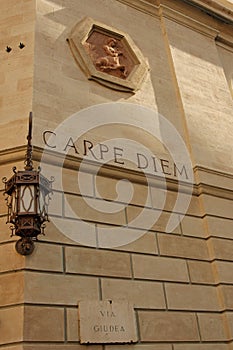 carpe diem photo