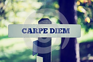 Carpe Diem