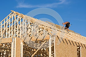 Carpenter Building Roof