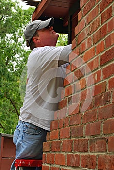 Carpenter Checking for Dry Rot Damage