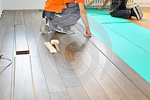 Carpenter doing laminate floor work