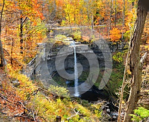 Carpenter Falls surrounded by Autumn leaf colors photo
