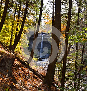 Carpenter Falls Autumn Leaf Colors show on hiking trail photo