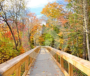 Carpenter Falls walkway during FingerLakes autumn photo