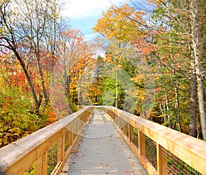 Carpenter Falls walkway during FingerLakes autumn