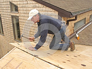 Carpenter installing sheathing to roof