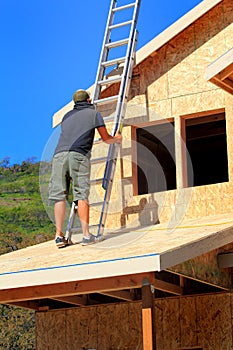 Carpenter with Ladder