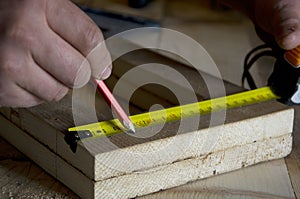 Carpenter measures a wooden board