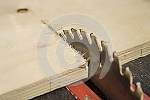 Carpenter`s workshop. Carpenter cuts the OSB