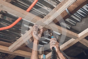 A carpenter using a hammer to nail a purlin to a rafter. Roof ceiling construction or renovation photo