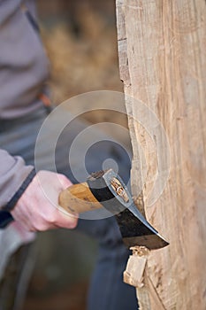 Carpenter using hatchet on walnut wood