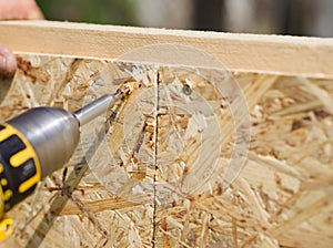 Carpenter working with electric screwdriver
