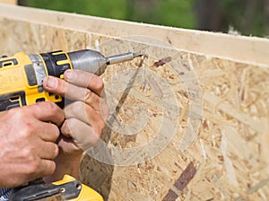 Carpenter working with electric screwdriver