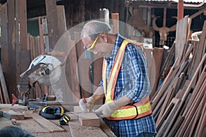 Carpenter working hand to measure lumber with metal ruler & pencil to marking in woodworking factory. There is many craft