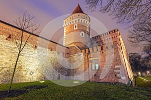 Carpenters Tower in Krakow