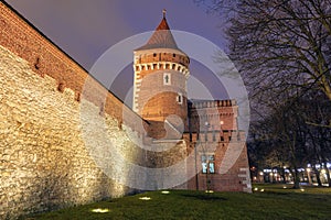 Carpenters Tower in Krakow