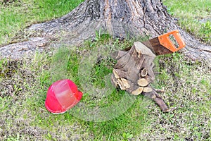 Carpentry tools near tree