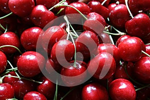 Carpet of cherries 2
