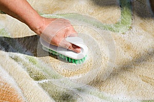 Carpet cleaning with brush and detergent foam. Close-up of woman's hand cleaning wet rug. Home hygiene