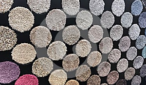 Carpet color samples hanging on the wall