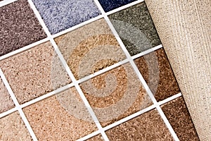 Carpet colors
