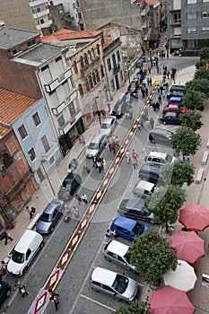 Carpet of flowers 41