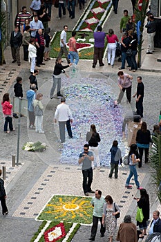 Carpet of flowers 63