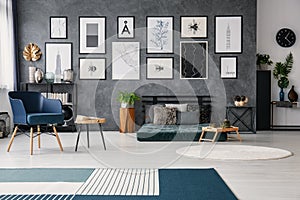 Carpet in grey spacious flat interior with blue armchair next to table near green futon. Real photo