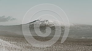 Carpet of snowy forest with gentle hills on horizon. Winter landscape of mountain valley under clouds