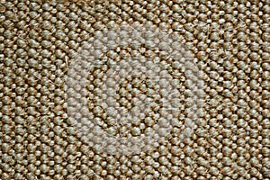Carpet texture
