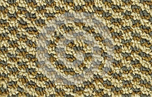 Carpet texture