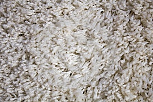 Carpet texture